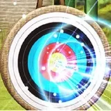 Advanced Tournament Archery