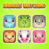 Animals Memory Matching