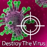 Destroy The Virus