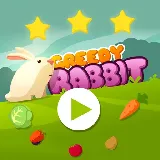 Greedy Rabbit