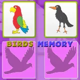 Kids Memory with Birds