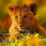 Wild Baby Animals Jigsaw