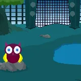 Wildlife Park Escape