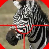 ZEBRA HUNTER